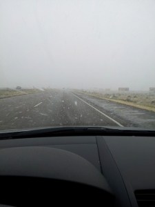SnowyFreeway