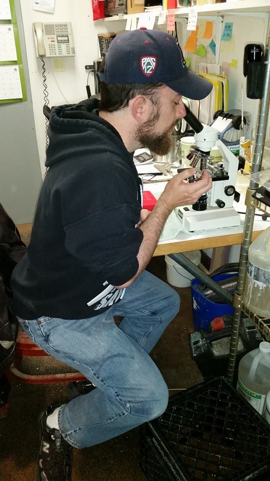 Don't forget to count the yeast! Stoutmeister uses a microscope for the first time since high school.
