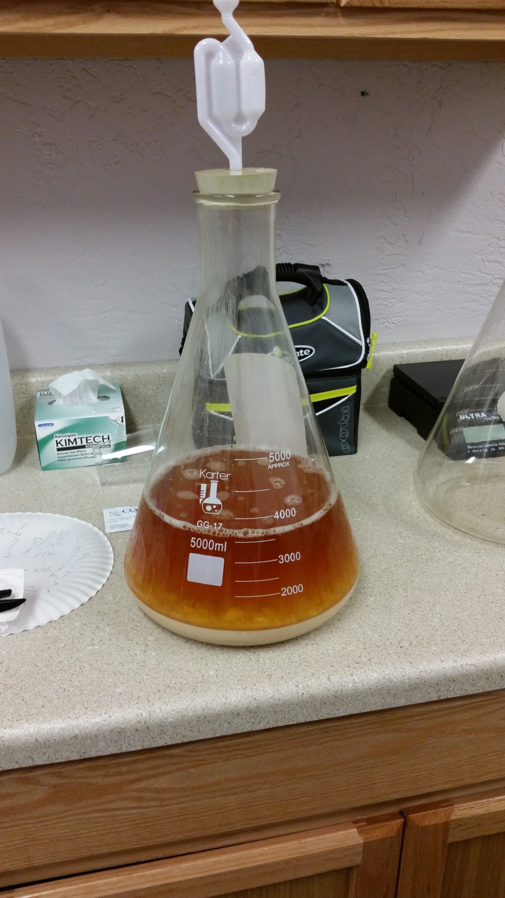 The yeast is already bubbling away.