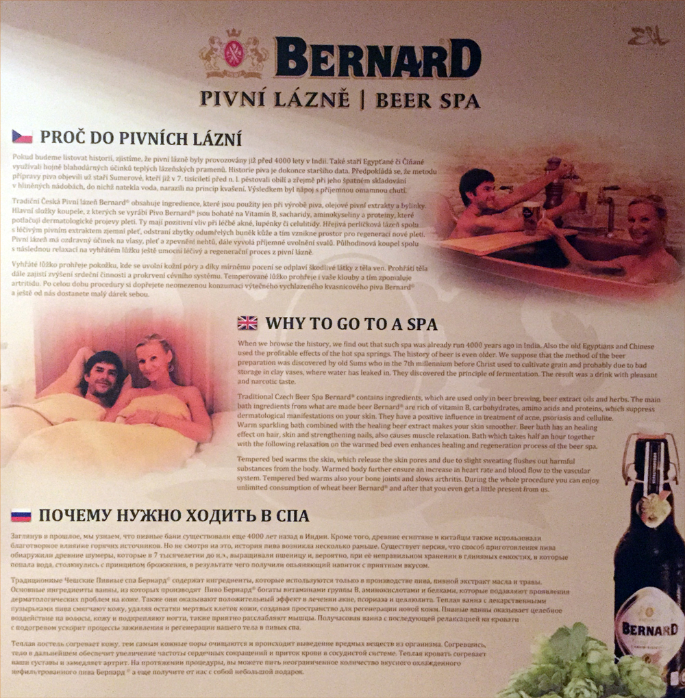 bernard-poster
