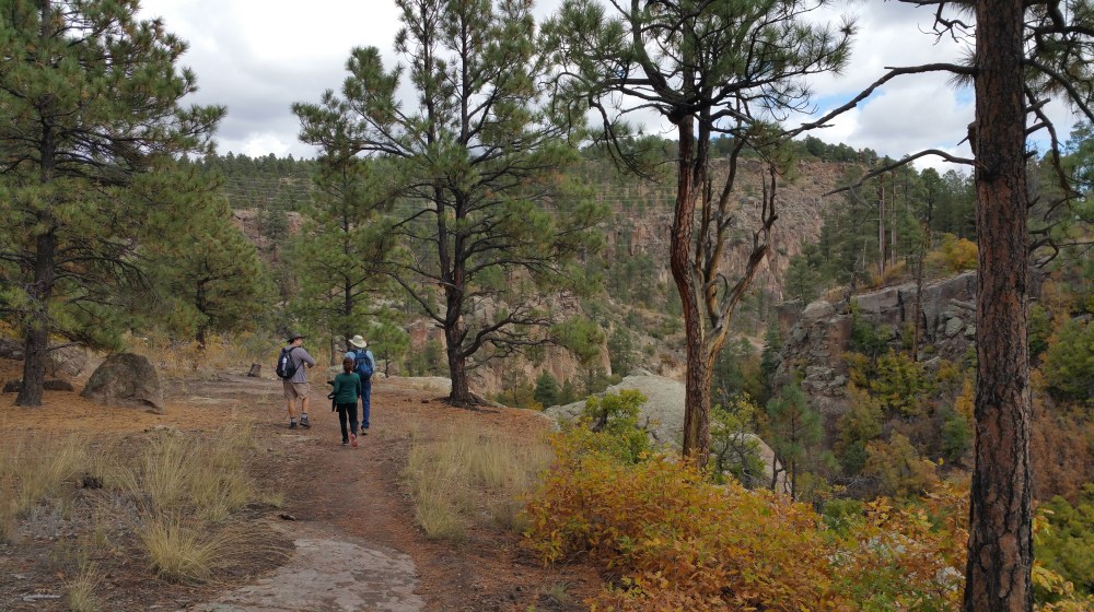 A sample of the trail.