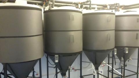 Soon, there will be beer.