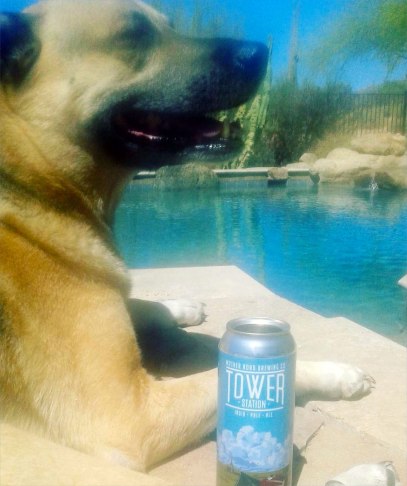 motherroad-convertibletop