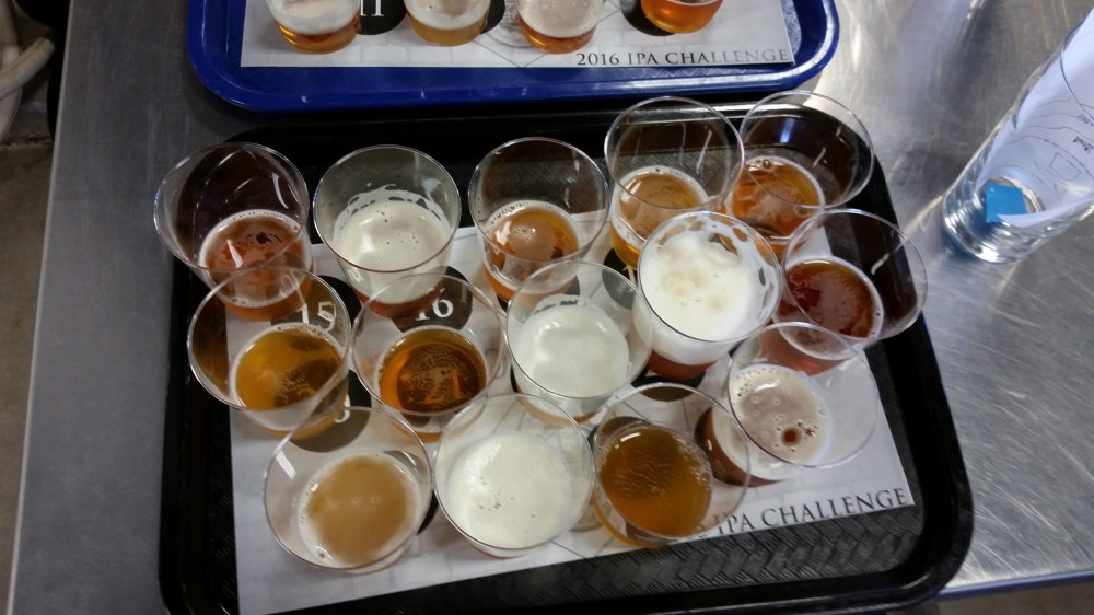 This year's many, many IPA entries. 