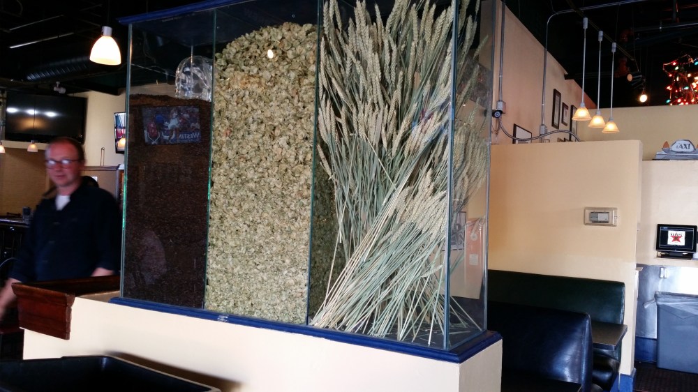 Gotta admit, this new display of malt, hops, and wheat is pretty cool. James Warren photo bomb not usually included. 