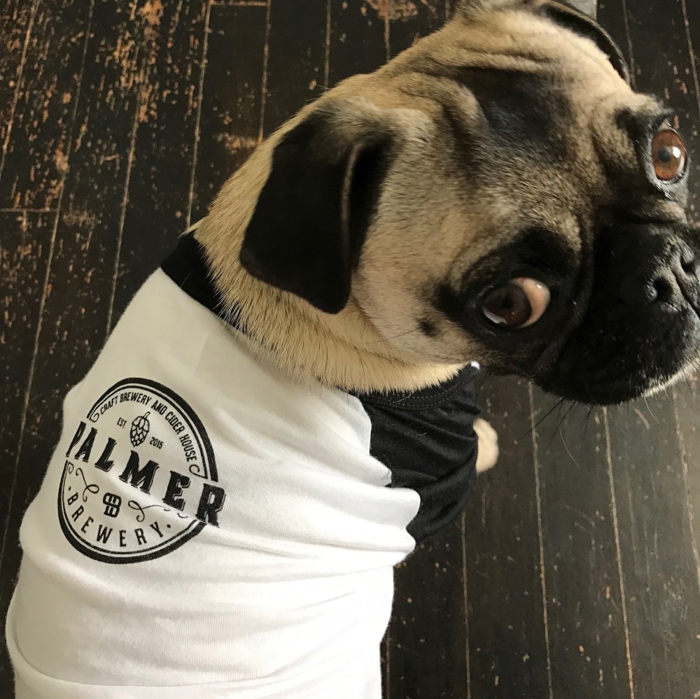 Cute dog not included. 