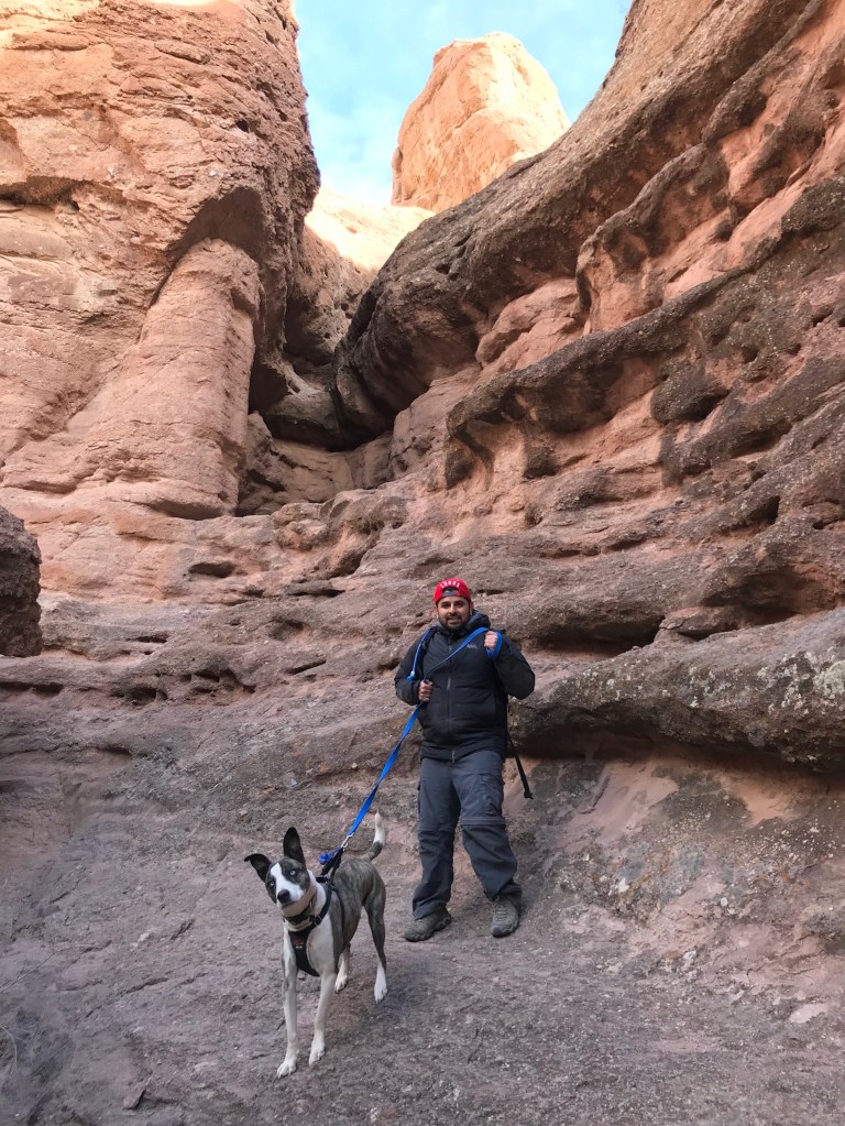 017269bf47c8838ae02bcacd49bd6cb2c4f352a03e