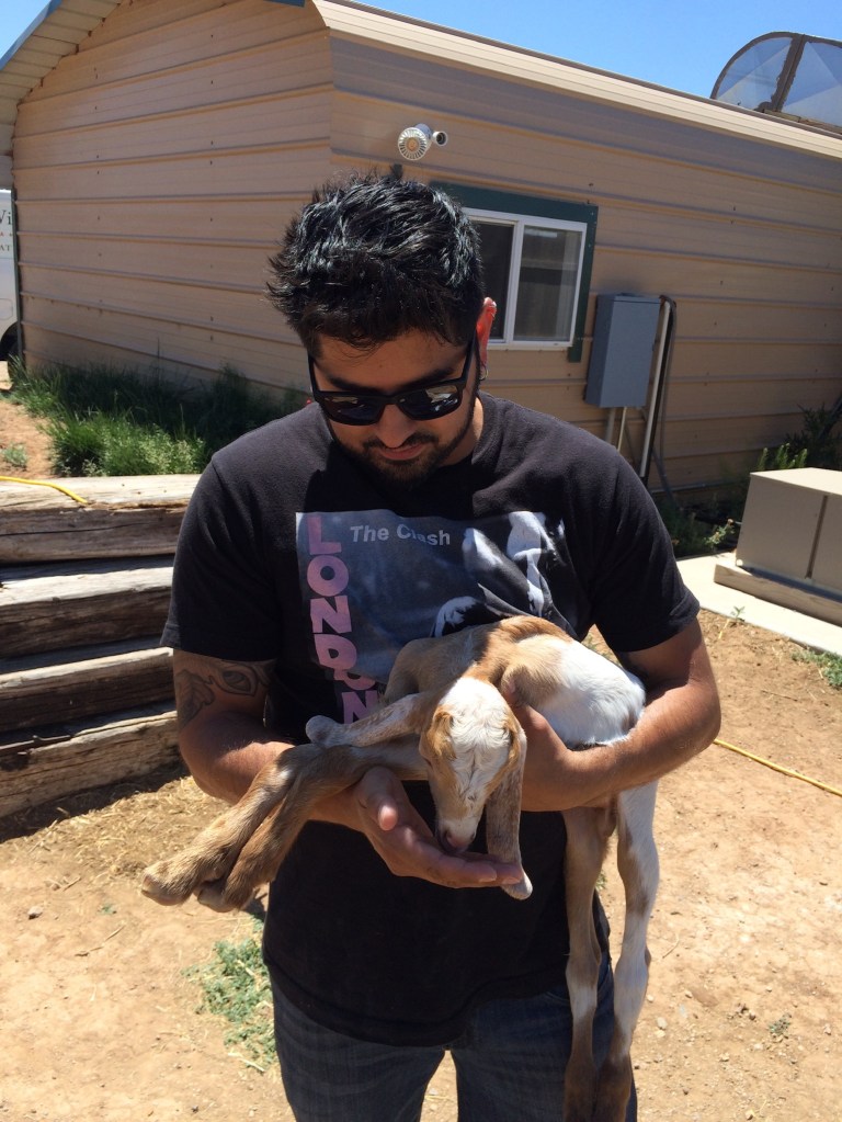 01fc5332c9716a1d093d7a34a5b008c0555db62430